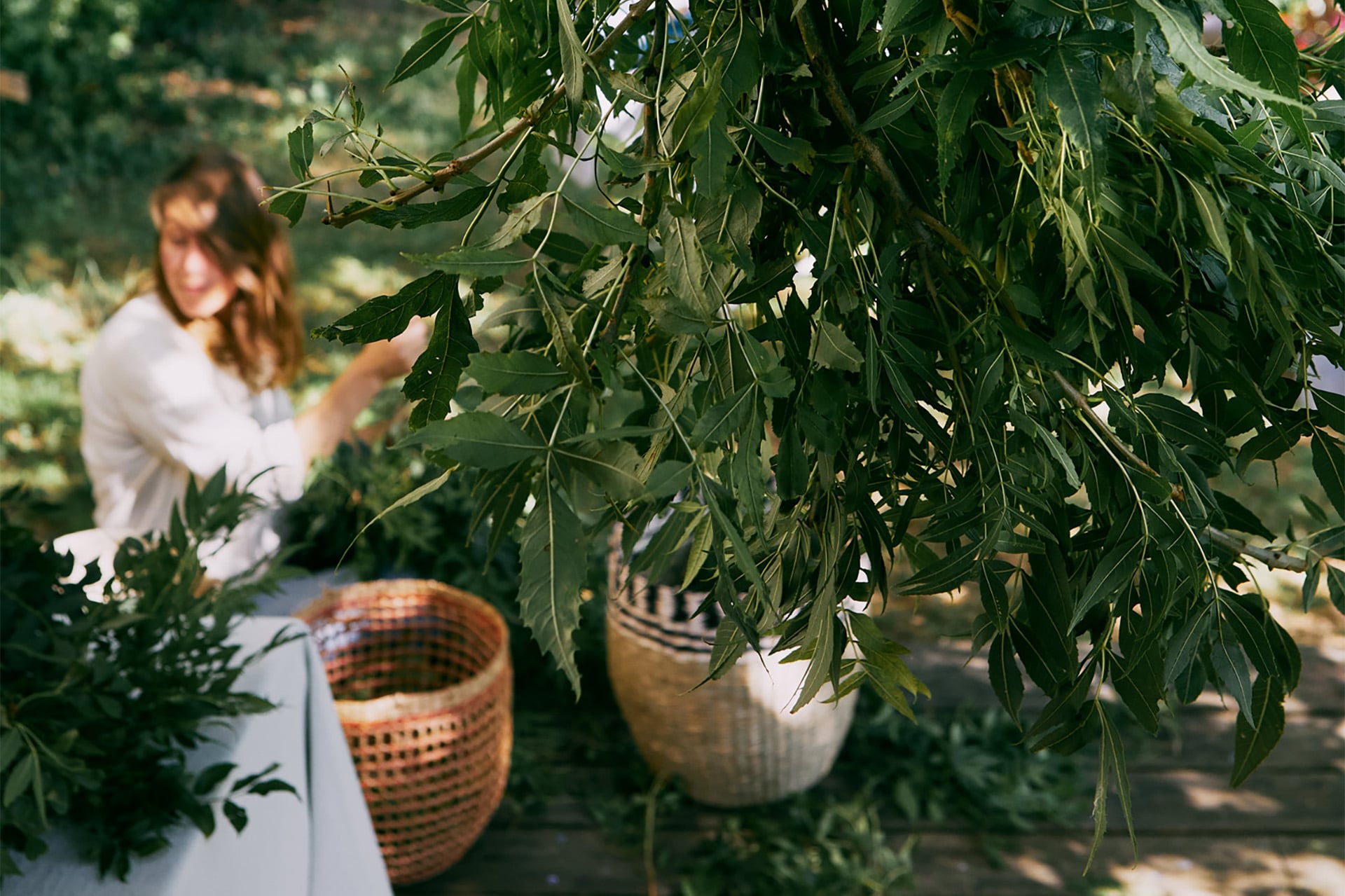 Women Herbalists