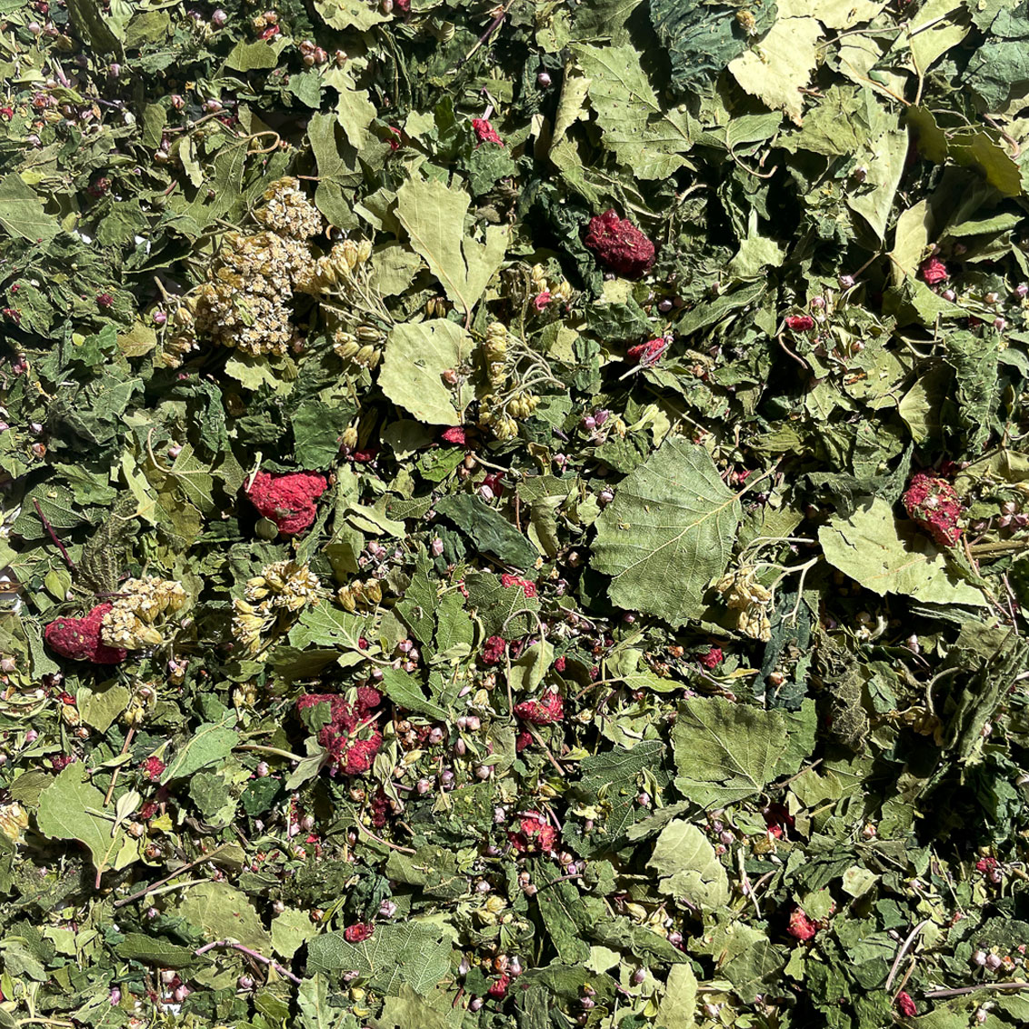 composition de la Tisane des Hautes Terres