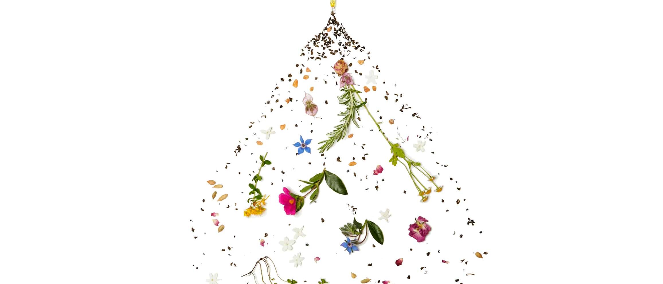 Pipette de fleurs et de plantes